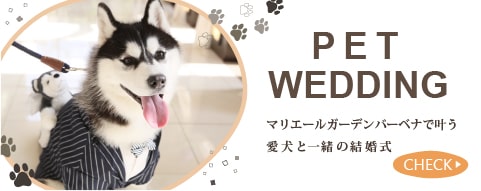 pet wedding